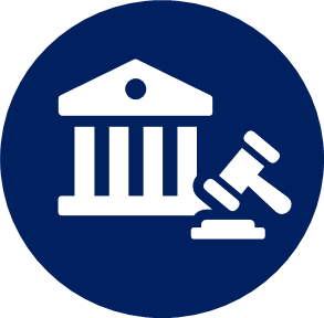 Advocate for Policy Changes Icon