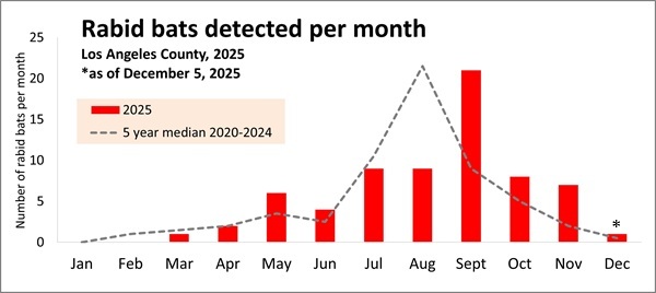 2025 graph - number of rabid bats per month in Los Angeles County