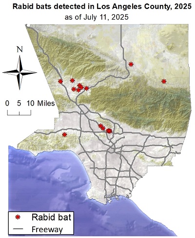 Map showing rabid bat detections in Los Angeles County since January 1, 2025